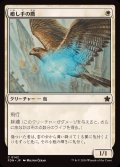 (FOIL)癒し手の鷹/Healer's Hawk《日本語》【FDN】