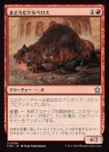 (FOIL)まどろむケルベロス/Slumbering Cerberus《日本語》【FDN】