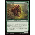 (FOIL)エルフの再生家/Elvish Regrower《日本語》【FDN】