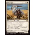 (FOIL)空騎士の従者/Skyknight Squire《日本語》【FDN】