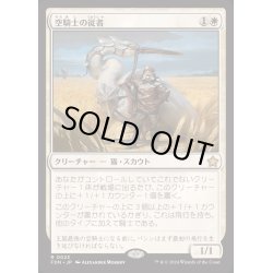 画像1: [EX+](FOIL)空騎士の従者/Skyknight Squire《日本語》【FDN】