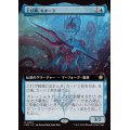 (FOIL)(フルアート)(0455)上げ潮、キオーラ/Kiora, the Rising Tide《日本語》【FDN】