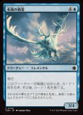 (FOIL)氷風の精霊/Icewind Elemental《日本語》【FDN】