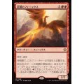 (FOIL)炎跡のフェニックス/Flamewake Phoenix《日本語》【FDN】