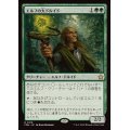 エルフの大ドルイド/Elvish Archdruid《日本語》【FDN】