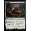 (FOIL)漁る軟泥/Scavenging Ooze《日本語》【FDN】