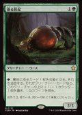 (FOIL)漁る軟泥/Scavenging Ooze《日本語》【FDN】