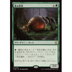 画像1: (FOIL)漁る軟泥/Scavenging Ooze《日本語》【FDN】