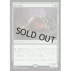 画像1: [EX+](FOIL)漁る軟泥/Scavenging Ooze《日本語》【FDN】