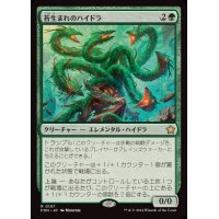 (FOIL)苔生まれのハイドラ/Mossborn Hydra《日本語》【FDN】