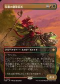 (FOIL)(フルアート)(0345)灰根の精霊信者/Ashroot Animist《日本語》【FDN】