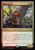 (FOIL)灰根の精霊信者/Ashroot Animist《日本語》【FDN】