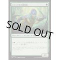 ジャングルの探査者/Jungle Delver《日本語》【J25】