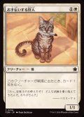 (FOIL)お手伝いする狩人/Helpful Hunter《日本語》【FDN】