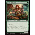 ラノワールのエルフ/Llanowar Elves《日本語》【J25】