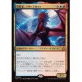 (FOIL)先見者、ニヴ＝ミゼット/Niv-Mizzet, Visionary《日本語》【FDN】