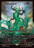 (FOIL)(ショーケース枠)墓場波、ムルドローサ/Muldrotha, the Gravetide《日本語》【FDN】