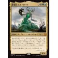 (FOIL)墓場波、ムルドローサ/Muldrotha, the Gravetide《日本語》【FDN】