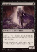 (FOIL)寄生の賢者/Infestation Sage《日本語》【FDN】