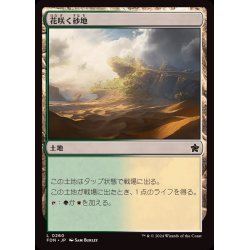 画像1: (FOIL)花咲く砂地/Blossoming Sands《日本語》【FDN】