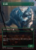 (FOIL)(フルアート)若き狼/Young Wolf《日本語》【INR】