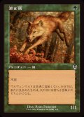 (旧枠仕様)若き狼/Young Wolf《日本語》【INR】