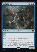 (FOIL)過充電縫合体/Overcharged Amalgam《日本語》【INR】