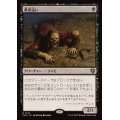 墓所這い/Gravecrawler《日本語》【INR】