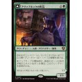 (FOIL)アヴァブルックの町長/Mayor of Avabruck《日本語》【INR】