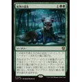 (FOIL)異界の進化/Eldritch Evolution《日本語》【INR】