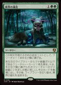 (FOIL)異界の進化/Eldritch Evolution《日本語》【INR】