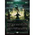 (FOIL)(フルアート)謎の石の儀式/Cryptolith Rite《日本語》【INR】