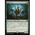 (FOIL)隠遁ドルイド/Hermit Druid《日本語》【INR】