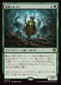 (FOIL)隠遁ドルイド/Hermit Druid《日本語》【INR】