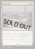 (FOIL)大渦の脈動/Maelstrom Pulse《日本語》【INR】