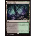 [EX]死天狗茸の林間地/Deathcap Glade《日本語》【INR】