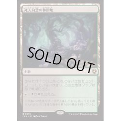 画像1: [EX+](FOIL)死天狗茸の林間地/Deathcap Glade《日本語》【INR】