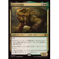 ギトラグの怪物/The Gitrog Monster《日本語》【INR】