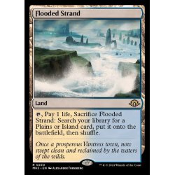 画像1: (FOIL)溢れかえる岸辺/Flooded Strand《英語》【MH3】