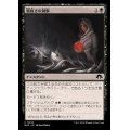 (FOIL)腸抜きの洞察/Eviscerator's Insight《日本語》【MH3】