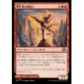 (FOIL)頂の修道士/Pinnacle Monk《日本語》【MH3】