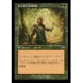 (FOIL)(旧枠仕様)ライオンの陰影/Lion Umbra《日本語》【MH3】