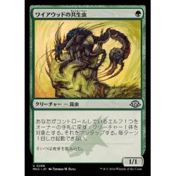 画像1: (FOIL)ワイアウッドの共生虫/Wirewood Symbiote《日本語》【MH3】