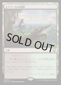 [EX+]ラノワールの荒原/Llanowar Wastes《日本語》【M3C】