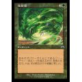 (FOIL)(旧枠仕様)怪物渦/Monstrous Vortex《日本語》【MH3】