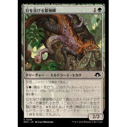 画像1: (FOIL)日を浴びる繁殖鱗/Basking Broodscale《日本語》【MH3】