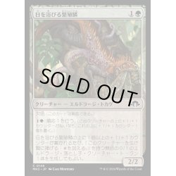 画像1: [EX+](FOIL)日を浴びる繁殖鱗/Basking Broodscale《日本語》【MH3】