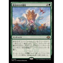 画像1: (FOIL)枝分かれの進化/Branching Evolution《日本語》【MH3】