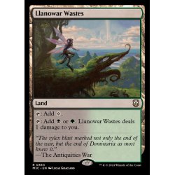 画像1: [EX+](リップルFOIL)ラノワールの荒原/Llanowar Wastes《英語》【M3C】