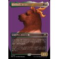 (FOIL)(フルアート)熊の中の王、クードー/Kudo, King Among Bears《日本語》【MH3】